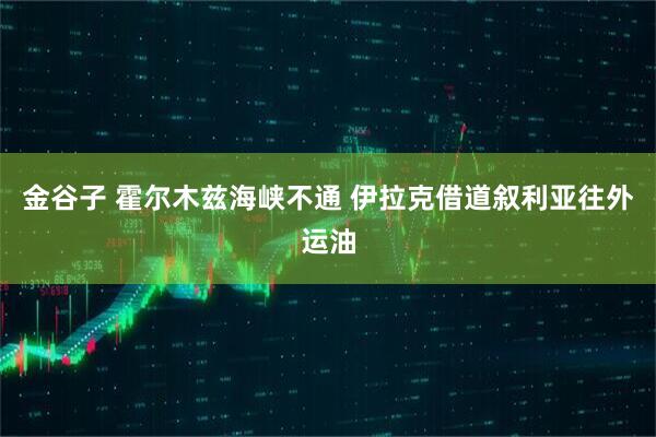 金谷子 霍尔木兹海峡不通 伊拉克借道叙利亚往外运油